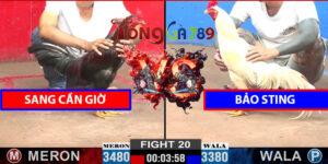 Trận 20 CPC2 12/3/2025 Bảo Sting Hạ Ngay Sang Cần Giờ