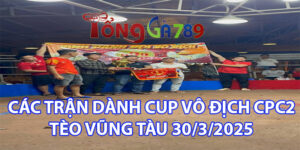 Các Trận Dành Cup Vô Địch Tèo Vũng Tàu CPC2 30/3/2025