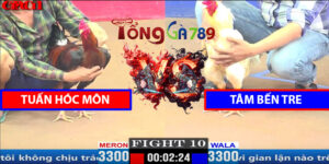 Trận 10 CPC1 29/3/2025 - Tuấn Hóc Môn Vs Tâm Bến Tre