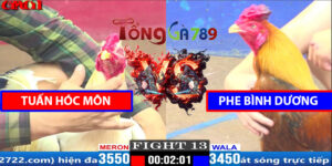 Trận 13 CPC1 29/03/2025 - Tuấn Hóc Môn - Phe Bình Dương