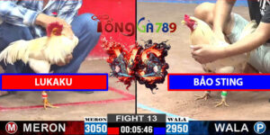 Trận 13 CPC2 12/3/2025 - Lukaku Lụm Đẹp Bảo Sting