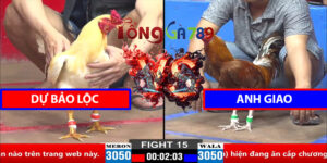Trận 15 CPC2 30/3/2025 - Dự Bảo Lộc Hạ Anh Giao
