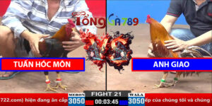 Trận 21 30/3/2025 - Tuấn Hóc Môn - Anh Giao