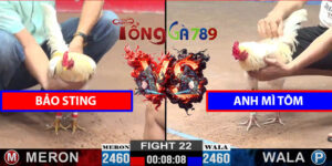 Trận 22 CPC2 12/3/2025 – Bảo Sting Lụm A Mì Tôm