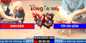 Trận 25 CPC1 27/3/2025 - Anh Đen Đụng Độ Tới Sài Gòn