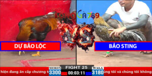 Trận 25 CPC2 30/3/2025 - Dự Vũng Tàu - Bảo Sting