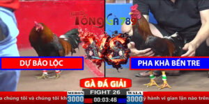 Trận 26 CPC2 30/3/2025 - Dự Bảo Lộc Gặp Kha Phà Bến Tre