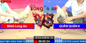 Trận 3 CPC1 27/3/2025 - Minh Long An - Quân Quận 8