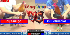 Trận 30 CPC1 29/03/2025 - Dự Bảo Lộc - Phú Vĩnh Long