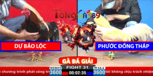 Trận 31 CPC2 30/3/2025 - Dự Bảo Lộc- Phước Đồng Tháp