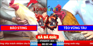 Trận 33 CPC2 30/3/2025 - Bảo Sting Đá - Tèo Vũng Tàu