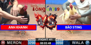 Trận 41 CPC2 12/3/2025 – Bảo Sting Hạ Gà Anh Khanh