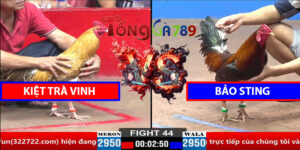 Trận 44 CPC2 30/3/2025 - Kiệt Trà Vinh Dí Bạc Bảo Sting
