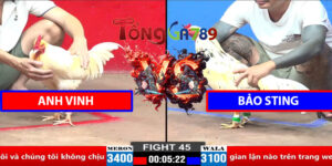 Trận 45 CPC2 30/3/2025 - Anh Vinh - Bảo Sting