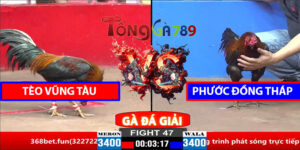 Trận 47 CPC2 30/3/2025 - Tèo Vũng Tàu Lụm Phước Đồng Tháp