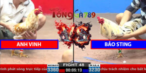 Trận 48 CPC2 30/3/2025 - A Vinh - Bảo Sting