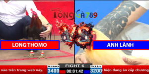 Trận 6 CPC2 30/3/2025 - Long Thomo Lụm Ngay A Lành