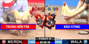 Trận 9 CPC2 12/3/2025 Trung Bến Tre Hạ Bảo Sting