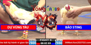 Trận 9 CPC2 30/3/2025 - Dự Vũng Tàu - Bảo Sting