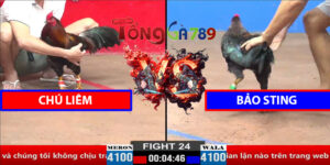 Trận 24 CPC2 30/3/2025 - Chú Liêm Gặp Bảo Sting