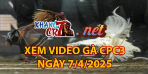 XEM VIDEO GÀ CPC3 NGÀY 7/4/2025