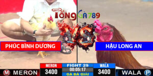 Trận 29 CPC3 22/4/2025 - Phúc Bình Dương Đá Với Hậu Long An