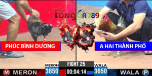 Trận 25 CPC3 22/4/2025 - Phúc Bình Dương Gặp A Hai Thành Phố