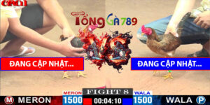 Trận 8 CPC1 21/4/2025 - Trận Gà Tre Không Đuôi Độc Lạ C1