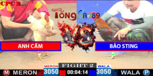 Trận 2 CPC2 18/4/2025 - Anh Cấm Hạ Bảo Sting