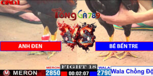 Trận 18 CPC1 26/4/2025 - Gà A Bé Chồng Độ Hạ Gà Tính Gaking