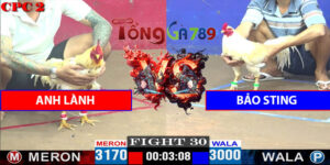 Trận 30 CPC2 27/4/2025 - Anh Lành Hạ Đẹp Bảo Sting