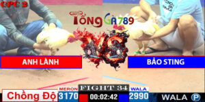 Trận 34 CPC2 27/4/2025 - Anh Lành Lại hạ Bảo Sting