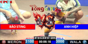 Trận 28 CPC2 27/4/2025 - Bảo Sting Gặp Anh Hiệp