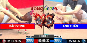 Trận 5 CPC3 22/4/2025 - A Bảo Sting Lại Thua Trước Anh Tuấn