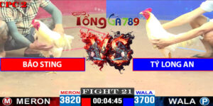 Trận 21 CPC2 27/4/2025 - Bảo Sting Gặp Tý Long An