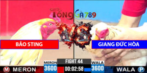 Trận 44 CPC3 22/4/2025 - Bảo Sting Vs Giang Đức Hòa