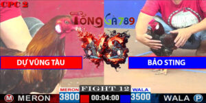 Trận 12 CPC2 27/4/2025 - Bảo Sting Hạ Dự Vũng Tàu