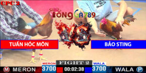 Trận 2 CPC2 27/4/2025 - Bảo Sting Hạ Tuấn Hóc Môn