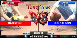 Trận 14 CPC3 22/4/2025 - Bảo Sting Hạ Phú Sài Gòn