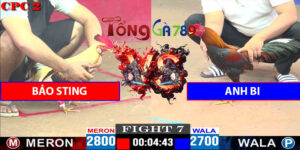 Trận 7 CPC2 27/4/2025 - Bảo Sting Đấu Với Anh Bi