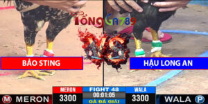 Trận 48 CPC3 22/4/2025 - Bảo Sting Hòa Với Hậu Long An