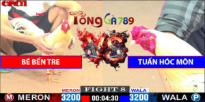 Trận 8 CPC1 26/4/2025 - Bé Bến Tre Với Tuấn Hóc Môn