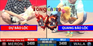 Trận 25 CPC3 1/4/2025 Dự Bảo Lộc Đấu Quang Bảo Lộc