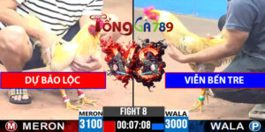 Trận 8 CPC3 29/4/2025 - Dự Bảo Lộc Gặp Viễn Bến Tre