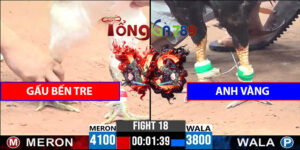 Trận 18 CPC3 22/4/2025 - Anh Vàng Hạ Gấu Bến Tre