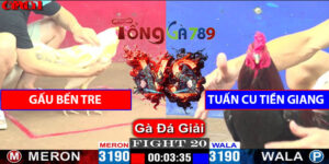 Trận 20 CPC1 26/4/2025 - Gấu Bến Tre Với Tuấn Cu Tiền Giang