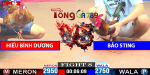 Trận 8 CPC2 27/4/2025 - Hiếu Bình Dương Với Bảo Sting