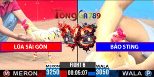Trận 6 CPC3 22/4/2025 - Anh Lúa Sài Gòn Lụm Bảo Sting
