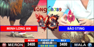 Trận 28 CPC3 22/24/2025 - Minh Long An Gặp Bảo Sting