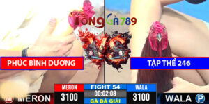 Trận 54 CPC3 22/4/2025 - Chú Phúc Và Trại Gà C3 Tranh Cúp Vô Địch
